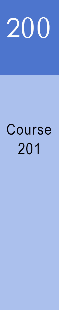 PCF Academy Course 201