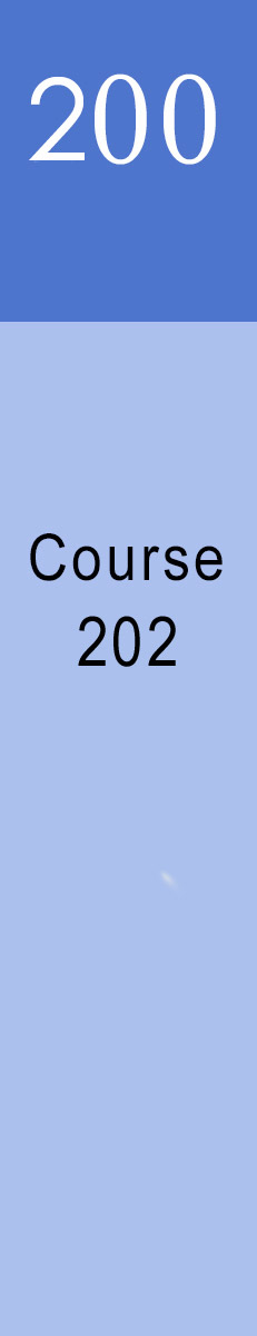 PCF Academy Course 202